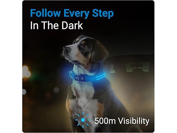 Tractive LED Light Up Dog Collar USB Rechargeable