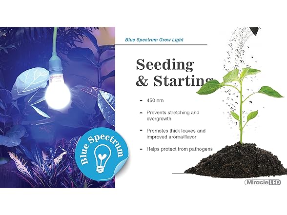 Growing Kit Blue Spectrum 4KK 2pk