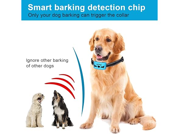 ZNFSZ Bark Collar Dog Bark Collar