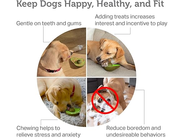 Friends Forever Bully Stick Holder for Dogs