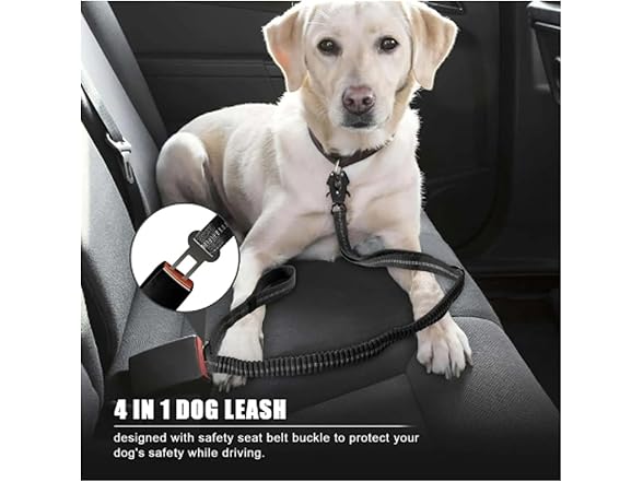 Reflective Shock Absorbing Pet Leashes with Car Seatbelt