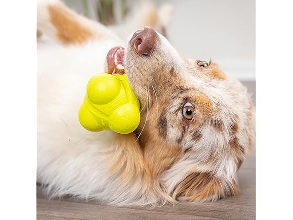 Hyper Pet Throwing Bumpy Ball Dog Toy