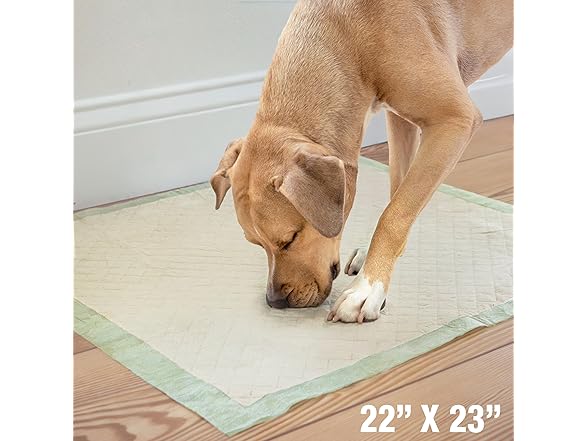 Four Paws Wee-Wee Superior Performance Bamboo Pee Pads