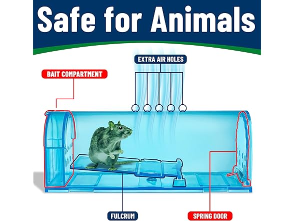 Humane Mouse Trap Blue