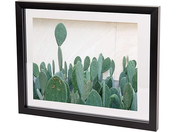 Umbra Umbra Document Frame - 11x14 Picture Fra