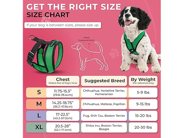 Gooby Comfort X Head in Harness - Small