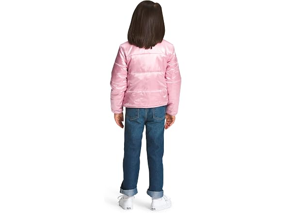 The North Face Reversible Jacket