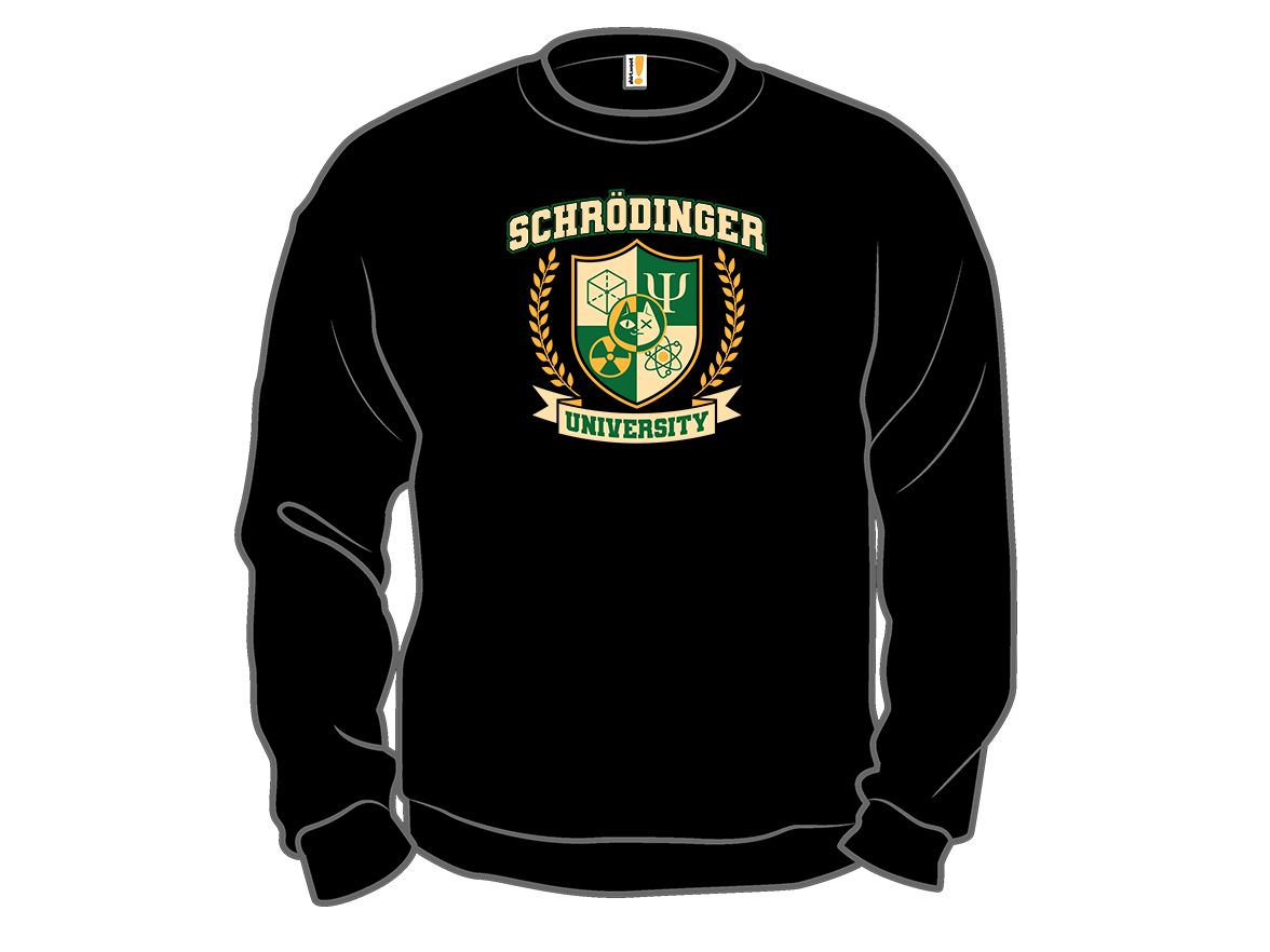 Schrodinger University - Gallery 11