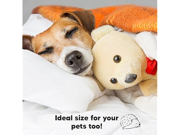 KeaBabies Toddler Pillow with Pillowcase