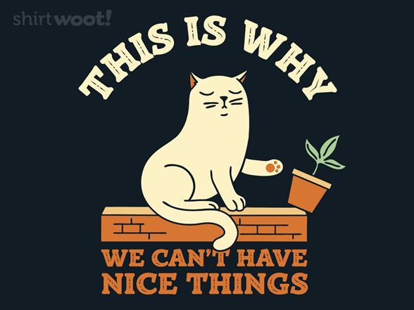 We Can't Have Nice Things