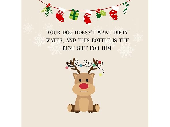 Generic (2 Pack) Dog Water Bottle