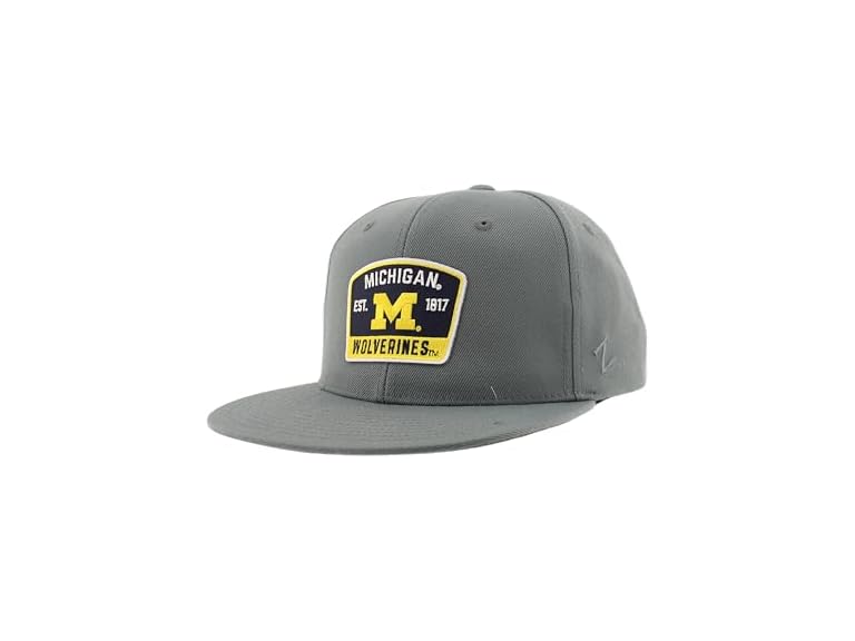 MICHIGAN Z11 Flat Hat Grey