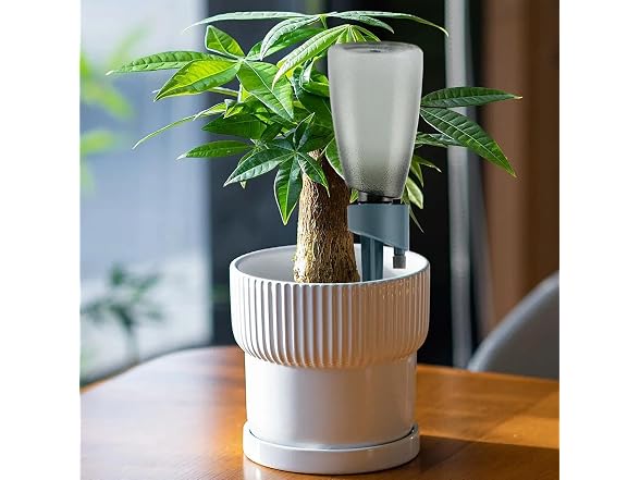 Generic GAR-81 Plant Watering Spikes, 6 Pieces
