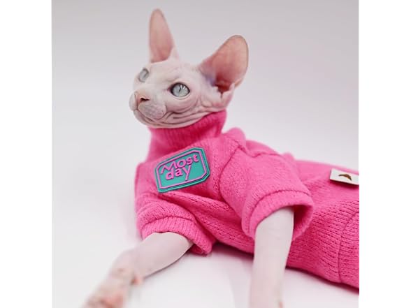 Sphynx Cat Clothes Autumn and Winter Thicken