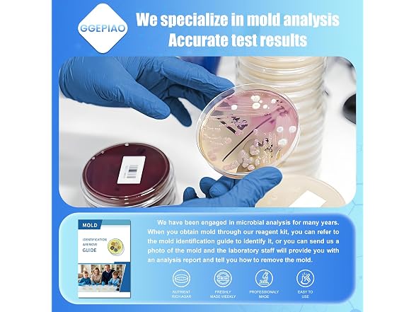 Mold Test Kit for Home,14 Simple
