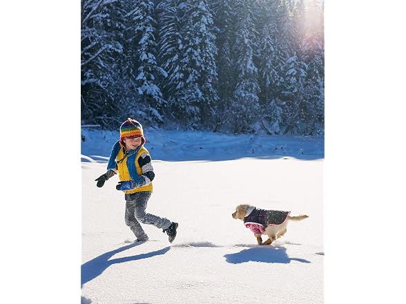 Winter Dog Boots & Paw Protectors, Anti-Slip