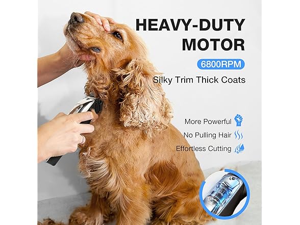 Petopia Dog Clippers for Grooming, Pet G