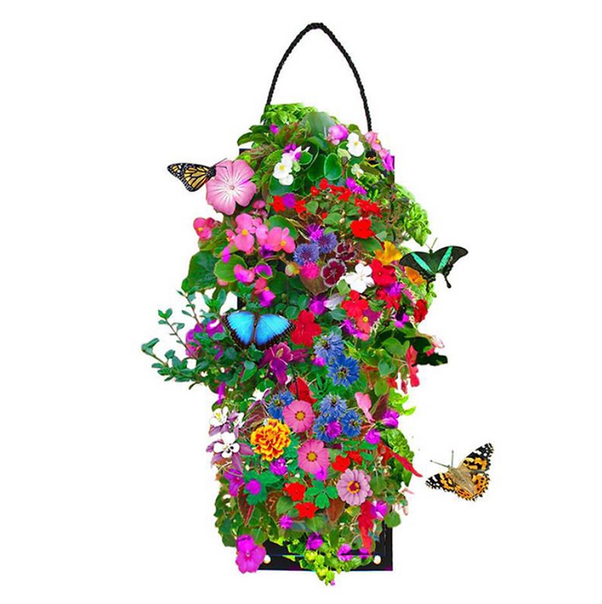 Pocket Hanging Flower Garden Seed Kit - Gallery 11