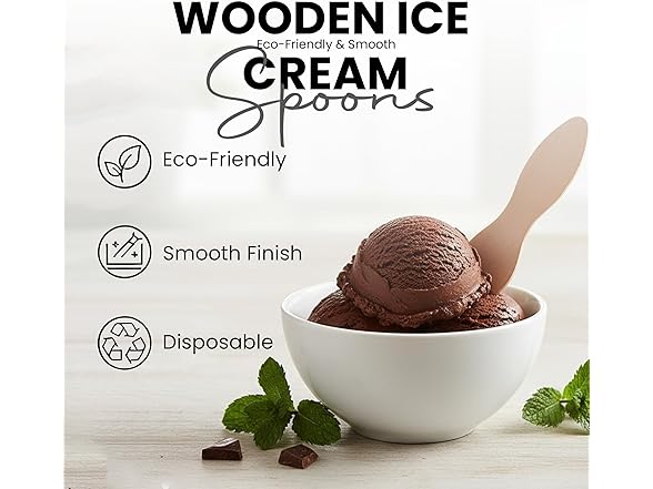 2.75" Wood Ice Cream Spoons 200ct