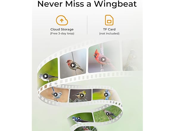 TT Nature 3L Smart Bird Feeder Camera
