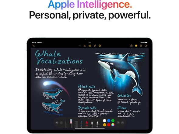 NEW Apple 13" iPad Air with M3 (2025)