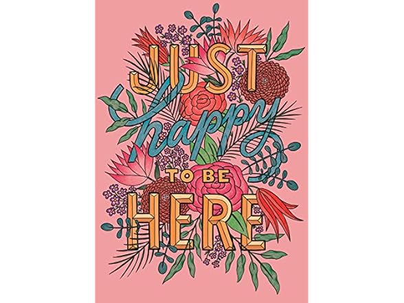 Buffalo Games Happy Here 300 Large Piece Puzzle