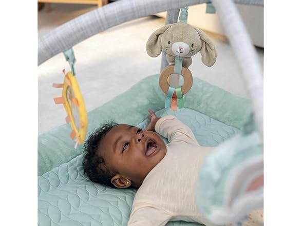 Ingenuity Calm Springs Plush Activity Gym