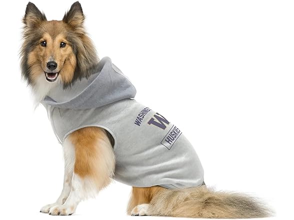 UW Huskies Pet Hoodie Med