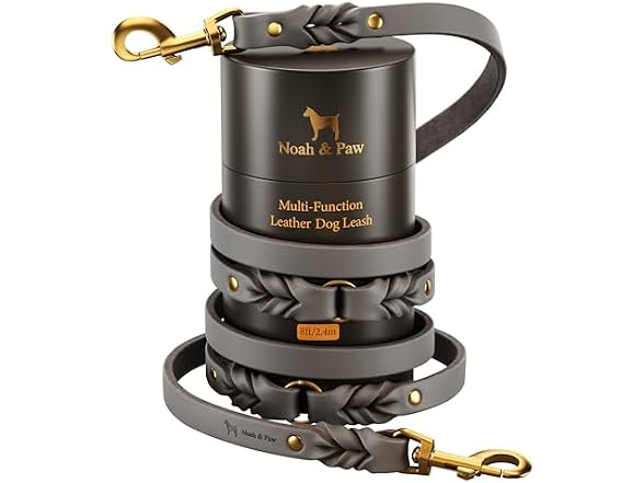 NOAH & PAW Leather Dog Leash