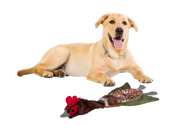 SPOT Skinneeez Crinklers Bird- Stuffing-Free