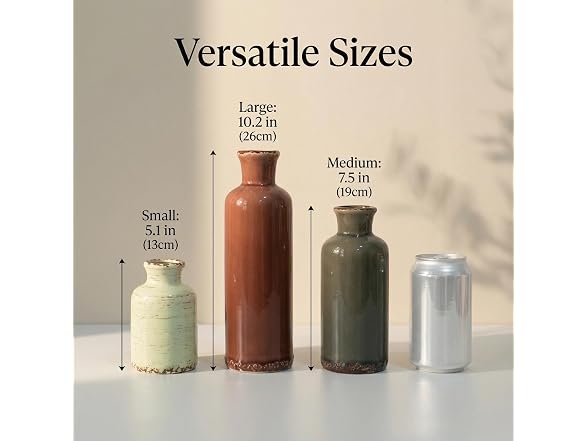 LIFESTYLO Ceramic Vintage Vase Set of 3
