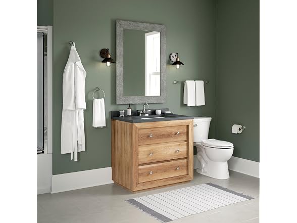 Peerless Peerless PA547 Precept Double Towel Hook