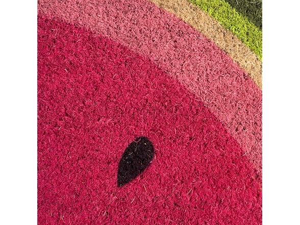 DII Colorful Design Natural Coir Doormat