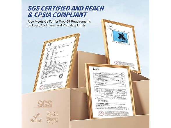 ZELUS Weighted Vest - 4-10lbs