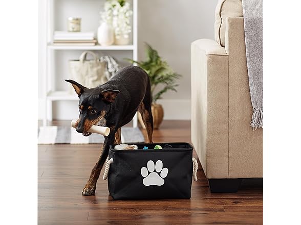 Bone Dry Pet Storage Collection Collapsible Bin