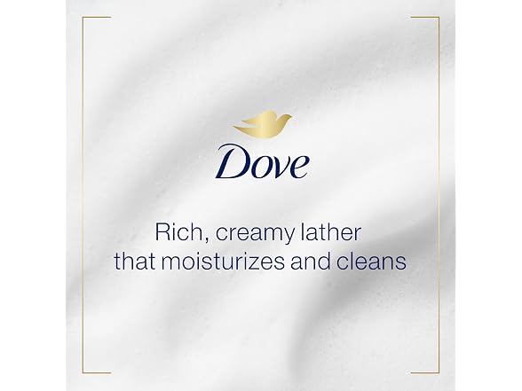 Dove Care and Protect Antibacterial Hand Wash 12oz