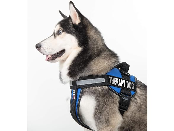 Dogline "Therapy Dog Removable Patches, Small/Medium