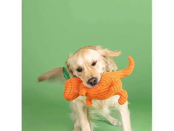 Fringe Studio Plush Dog Toy, Carrot ‘Bout Y