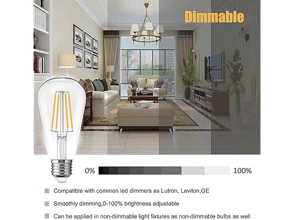 LED Light Bulbs Edison dimmable Bulbs (2700k Warm White, 6-Pack)