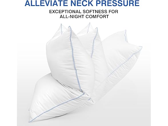 Zibroges Premium Goose Feather Pillows