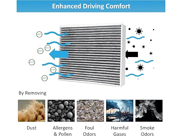 Bear Filter Cabin Air Filter