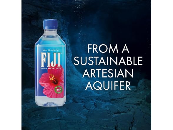 FIJI Artesian Bottled Water 16.9 oz Pack of 24