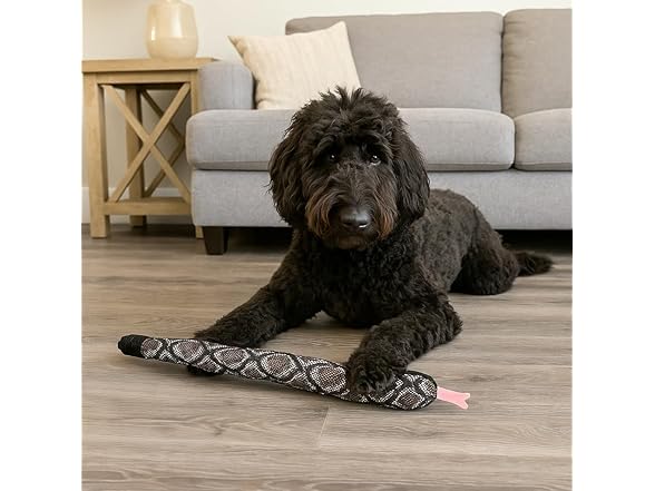 SPOT Slithery Snake Plush Dog Toy – 24"