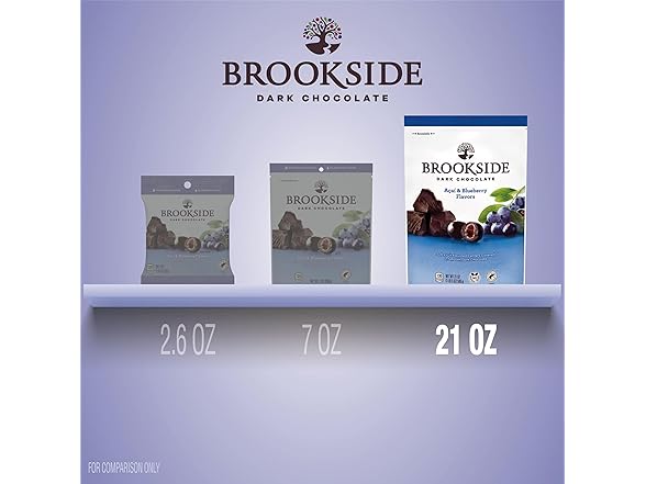 Brookside Dark Choc Acai Blueberry 21oz