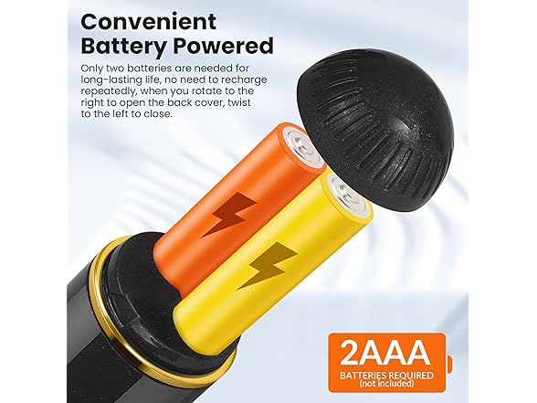 Tastelive Handheld Milk Frother-Black