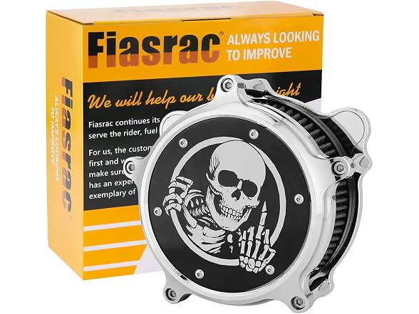Skull Air Cleaner Kit for Harley Touring Street Glide