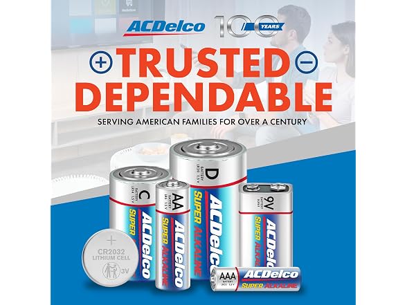 (100 Count) ACDelco AAA Batteries