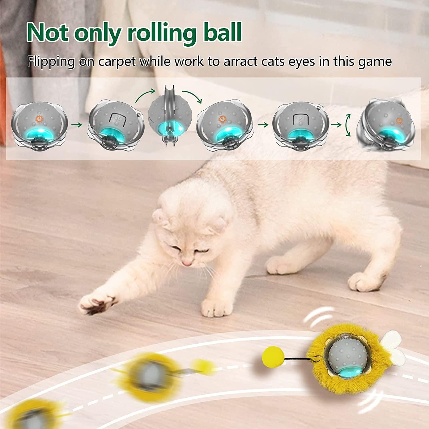 Electric Cat Toy - Gallery 7