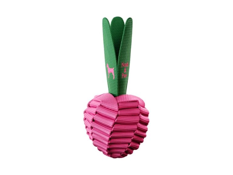 NOAH & PAW Luxury Dog Toy, Beet