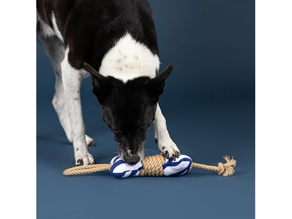 Fringe Studio Feelin' Nauti Plush Dog Toy, Bone